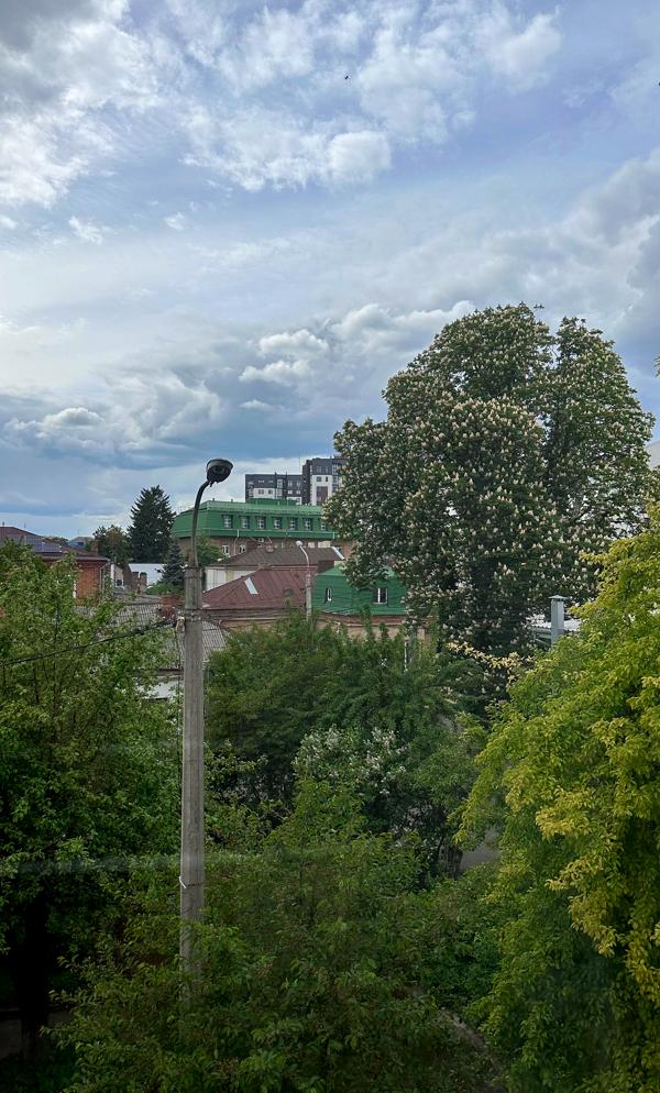 Spacious 2-room apartment in city center near Roshen store and Cinema Palace